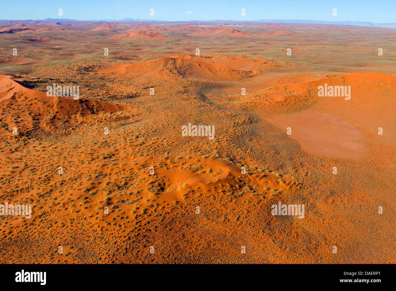 Deserto del Namib in Namibia, Namibia, Namib Naukluft National Park, Sossusvlei, Swakomund Foto Stock
