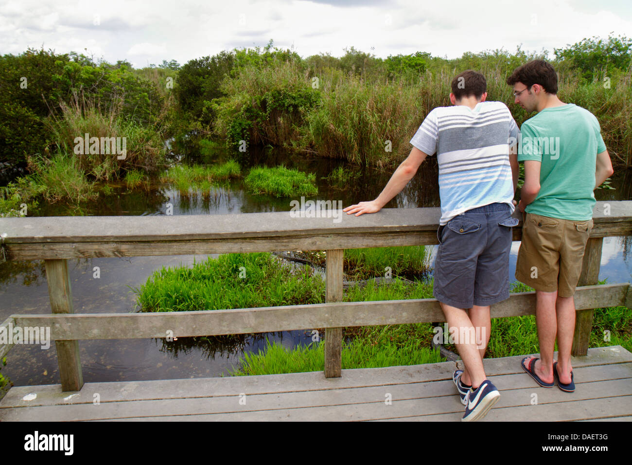 Miami Florida,Florida City,Everglades National Park,Main Park Road,Royal Palm Visitors Center,centro,Anhinga Trail,uomo uomini maschio adulti,amici,l Foto Stock