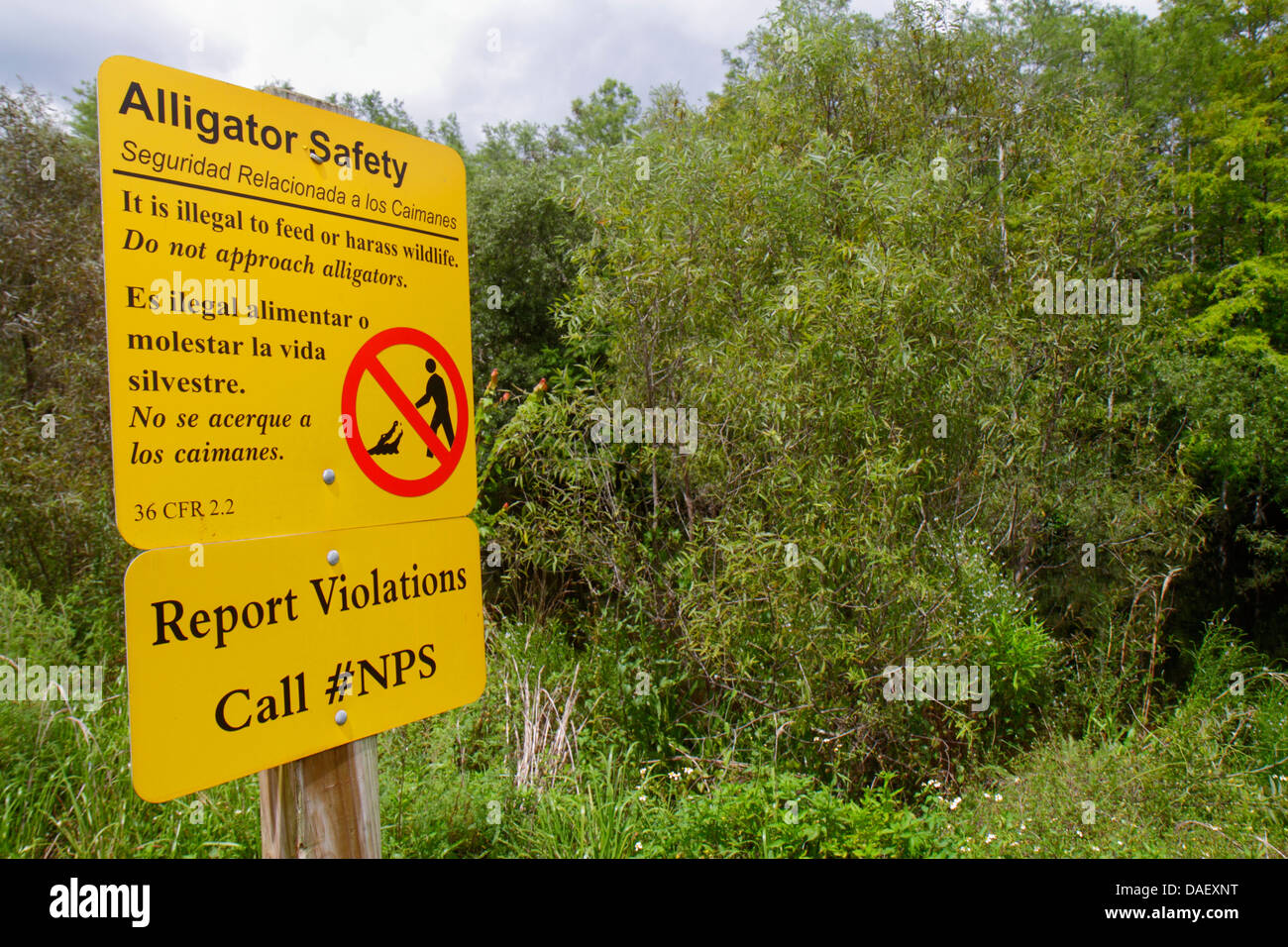 Miami Florida, Everglades, cartello, sicurezza degli alligatori, bilingue, inglese spagnolo, FL130601044 Foto Stock