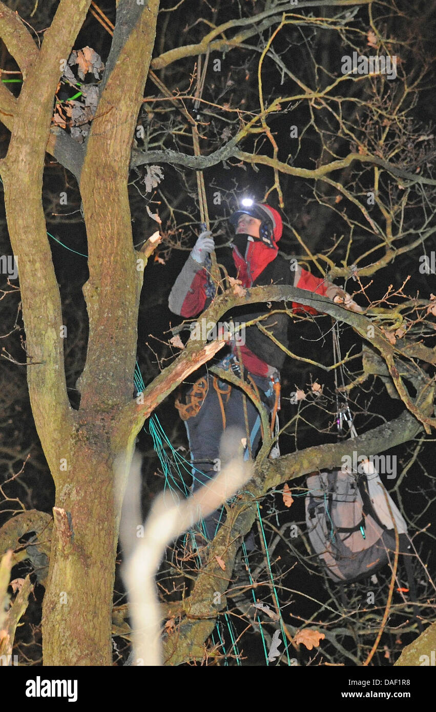 Un anti-attivista nucleare si inerpica su un albero durante una dimostrazione contro la ruota di trasporto nucleare vicino a Marbach, Germania, 26 novembre 2011. Il XIII trasporto Castor con i tedeschi di rifiuti nucleari è previsto nel Wendland ha dall'impianto di ritrattamento in Francia questo fine settimana. Foto: Marc Mueller Foto Stock