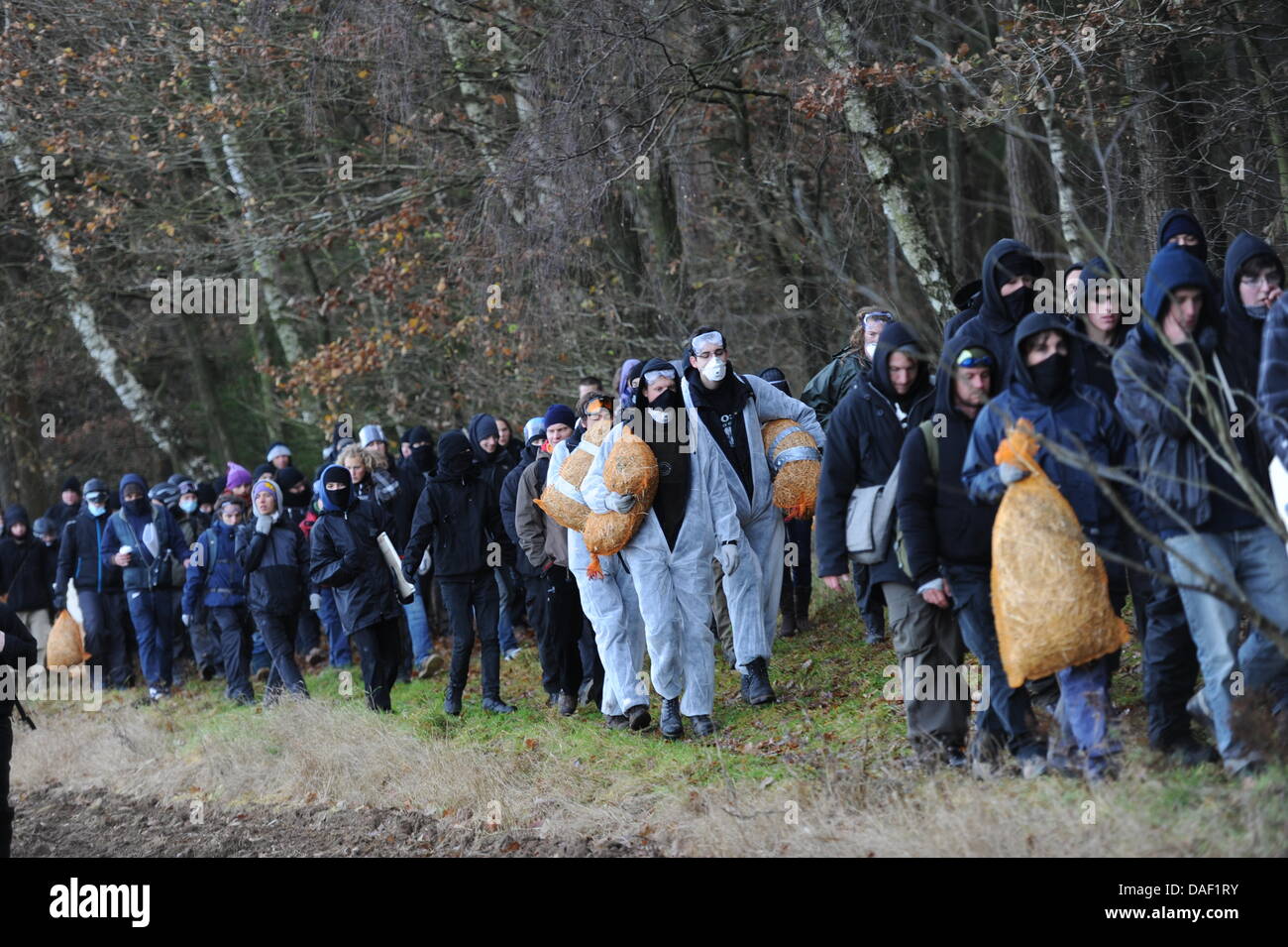 Anti-attivista nucleare a piedi sul loro modo al railtracks fare 'Schottern' durante la protesta contro la ruota di trasporto nucleare nei pressi di Metzingen, Germania, 26 novembre 2011. Schottern descrive una strategia in cui manifestanti rimuovere la ghiaia fra il railtracks allo scopo di ritardare o addirittura arrestare il treno che trasportano contenitori Castor. Xiii Castor con trasporto nucleare tedesco Foto Stock