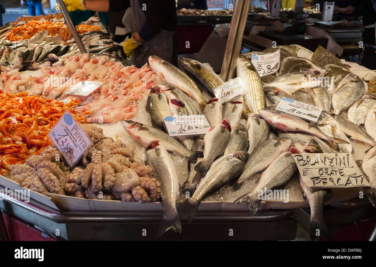 L'Italia, Venezia, varietà di pesce a Rialto Mercato del pesce Foto Stock