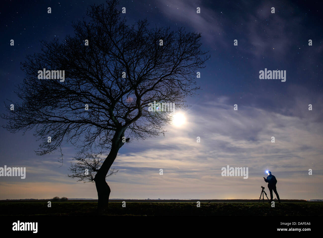 Struttura ad albero singolo e fotografo al chiaro di luna Foto Stock