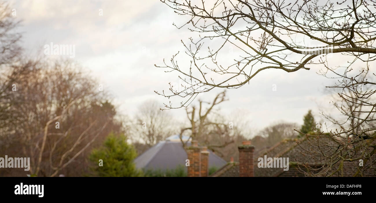 Vista panoramica della casa di tetti e alberi, nei sobborghi di Londra. Foto Stock