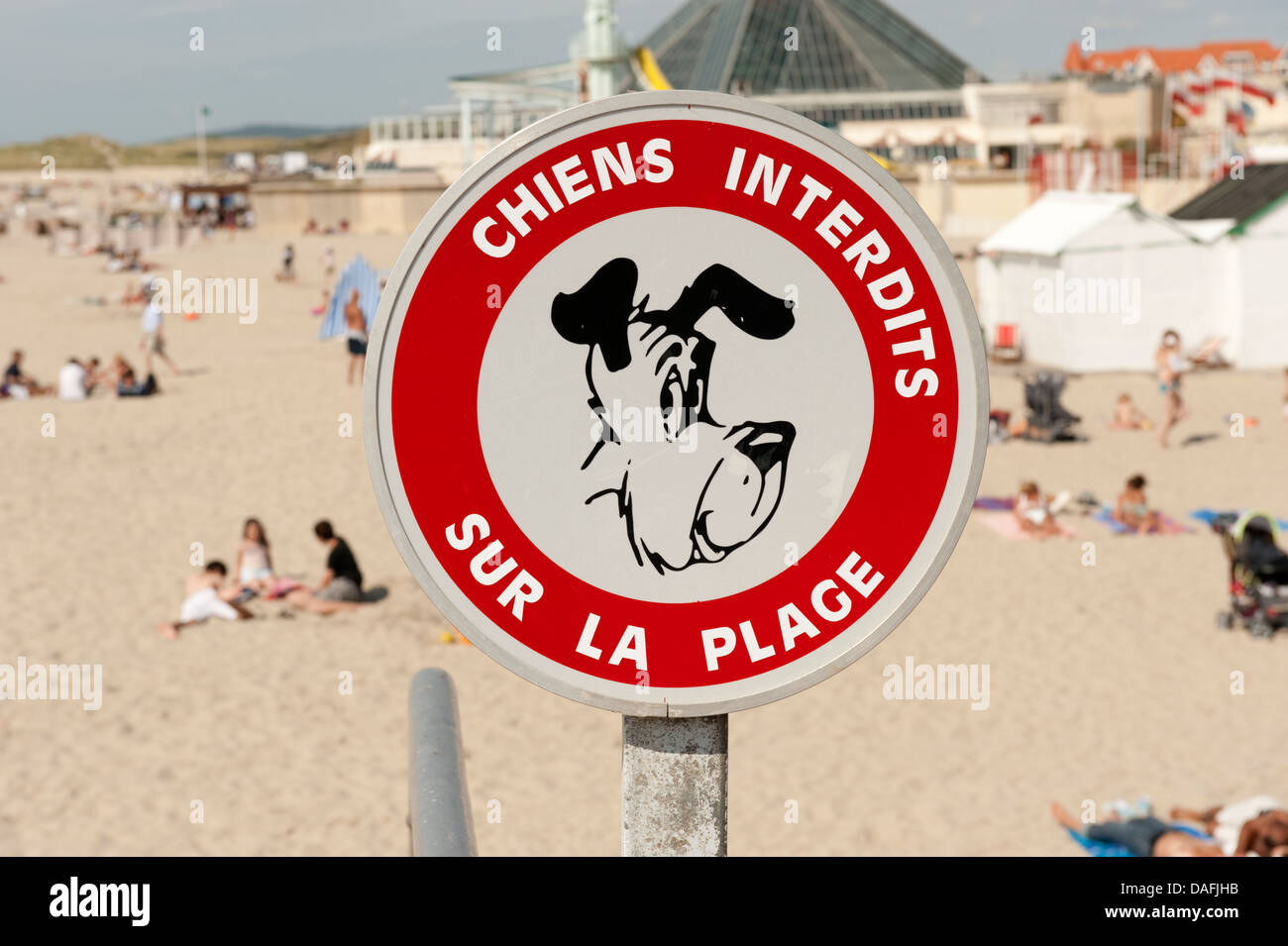 No cani sulla spiaggia segno francese di Le Touquet Francia Foto Stock