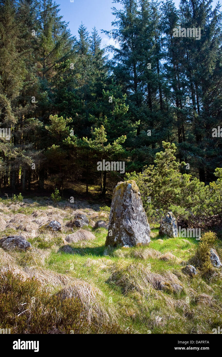 Davagh inferiore pietra permanente e il cerchio di pietra nella foresta Davagh, County Tyrone, Irlanda del Nord, Regno Unito Foto Stock