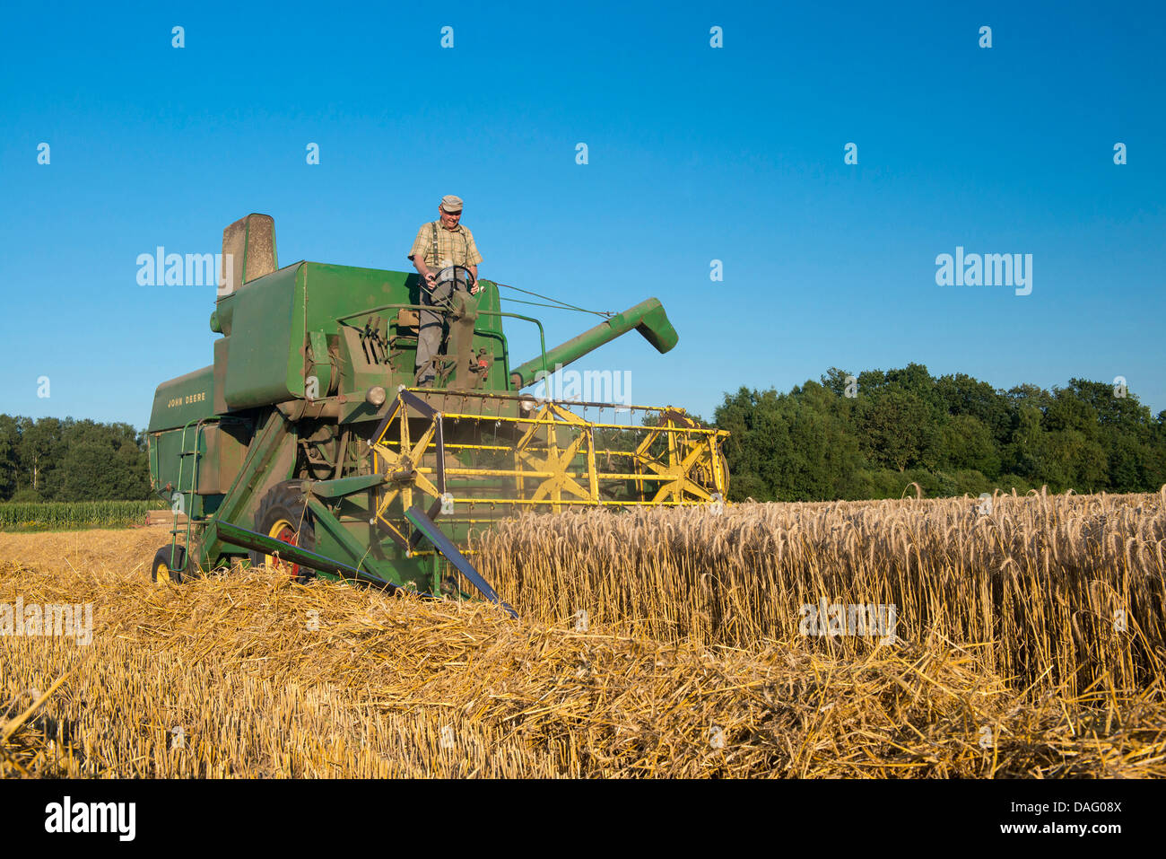 Mietitrebbia in campo di grano, Germania Foto Stock