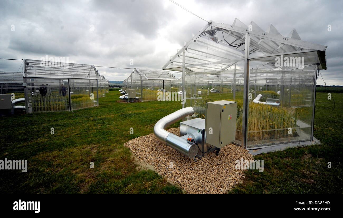 Una nuova stazione unica vicino Luby nad Pernstejnem esaminerà l'impatto atteso che i cambiamenti climatici avranno sulle piante, Michal V. Marek, dall'Accademia delle Scienze" Centro di ricerca sul cambiamento globale, detto durante il cerimoniale di apertura di venerdì, 12 luglio, 2013. La stazione, realizzata con il sostegno finanziario dell'UE, è costituito da 24 controllato automaticamente le camere che ricordano le serre che consentono di simulare diversi fenomeni climatici che gli esperti prevedono per sviluppare nella Repubblica ceca nei prossimi cento anni. Di frumento e di orzo sono state cresciute in camere sperimentali ora, expo Foto Stock