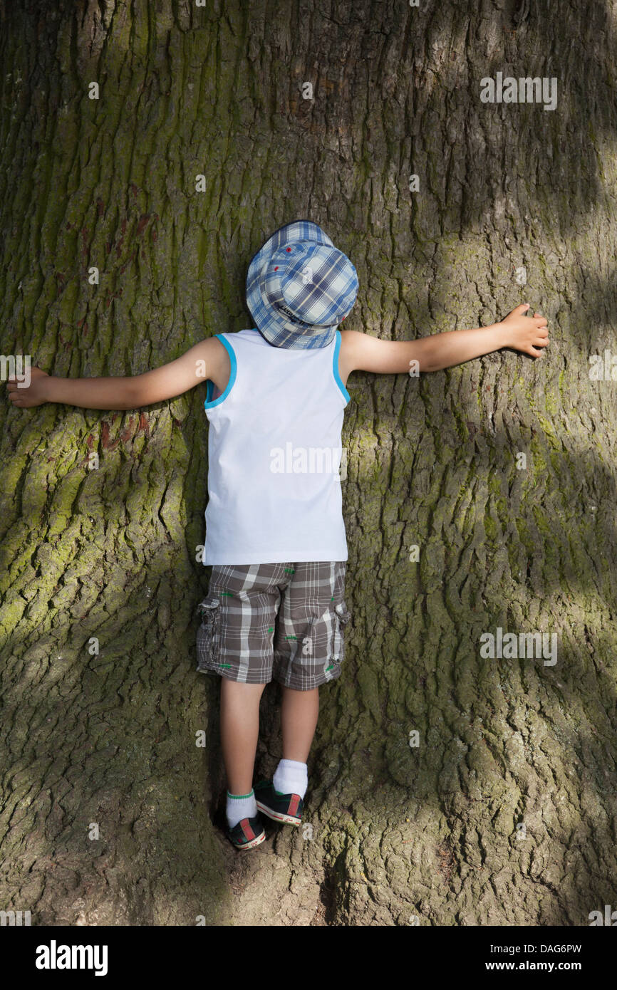 Bambino abbraccia un albero Foto Stock