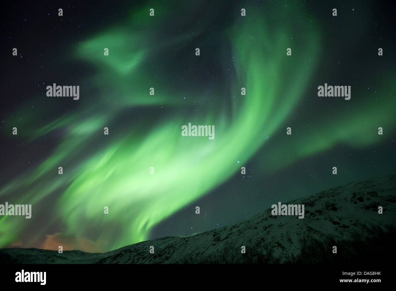 Aurora vortice in parte anteriore del cielo stellato sopra coperta di neve pendii montani, Norvegia, Troms, Kvaloea, Kattfjordeidet Foto Stock