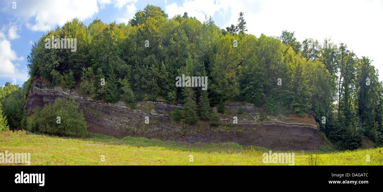 Affioramento con strati di ceneri vulcaniche, in Germania, in Renania Palatinato, Naturpark Vulkaneifel Rockeskyll, Foto Stock