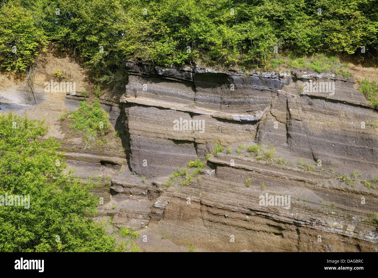 Affioramento con strati di ceneri vulcaniche, in Germania, in Renania Palatinato, Naturpark Vulkaneifel Rockeskyll, Foto Stock