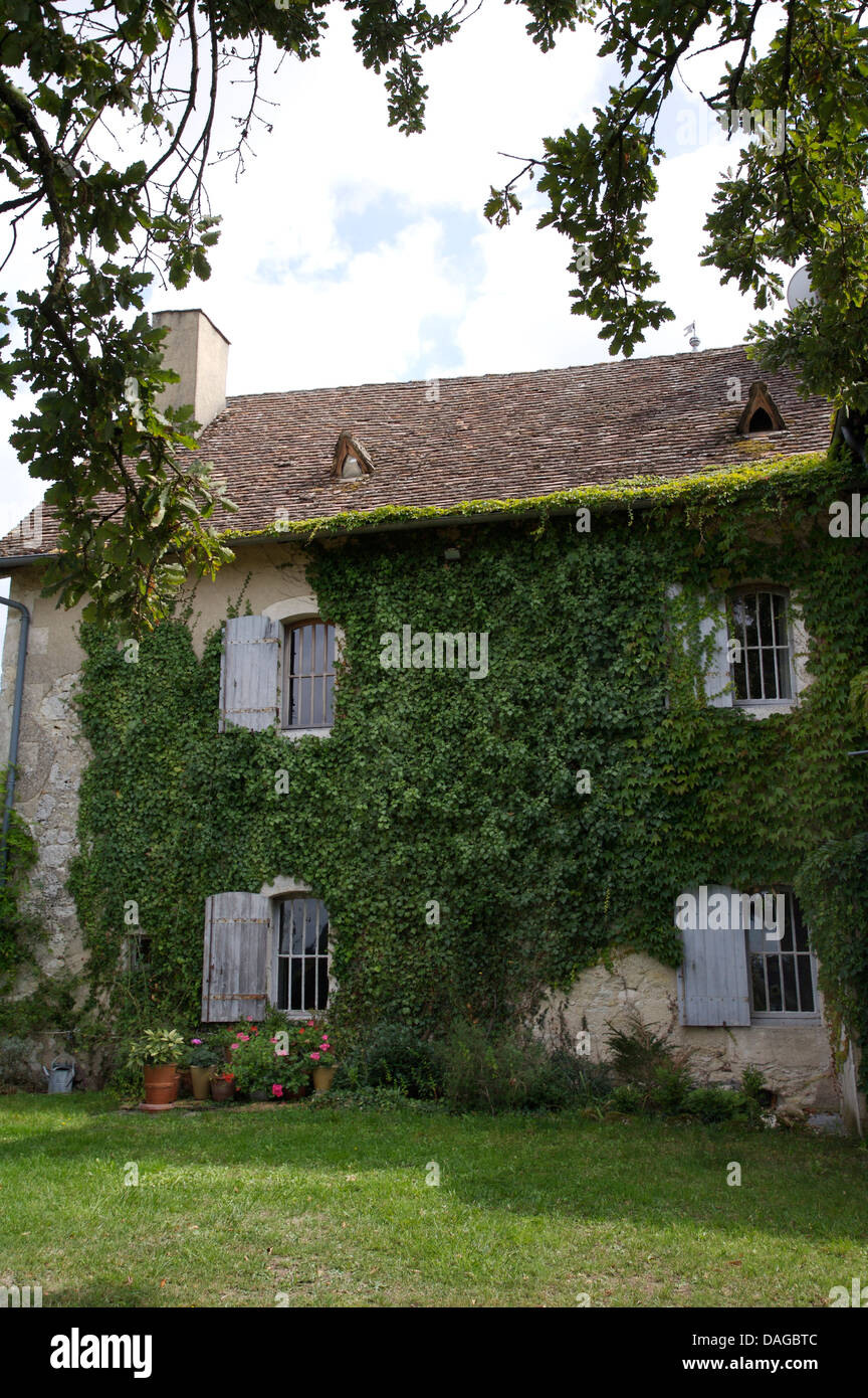 Francese antico country house con coperto di edera pareti e finestre con grigio chiaro scuri Foto Stock