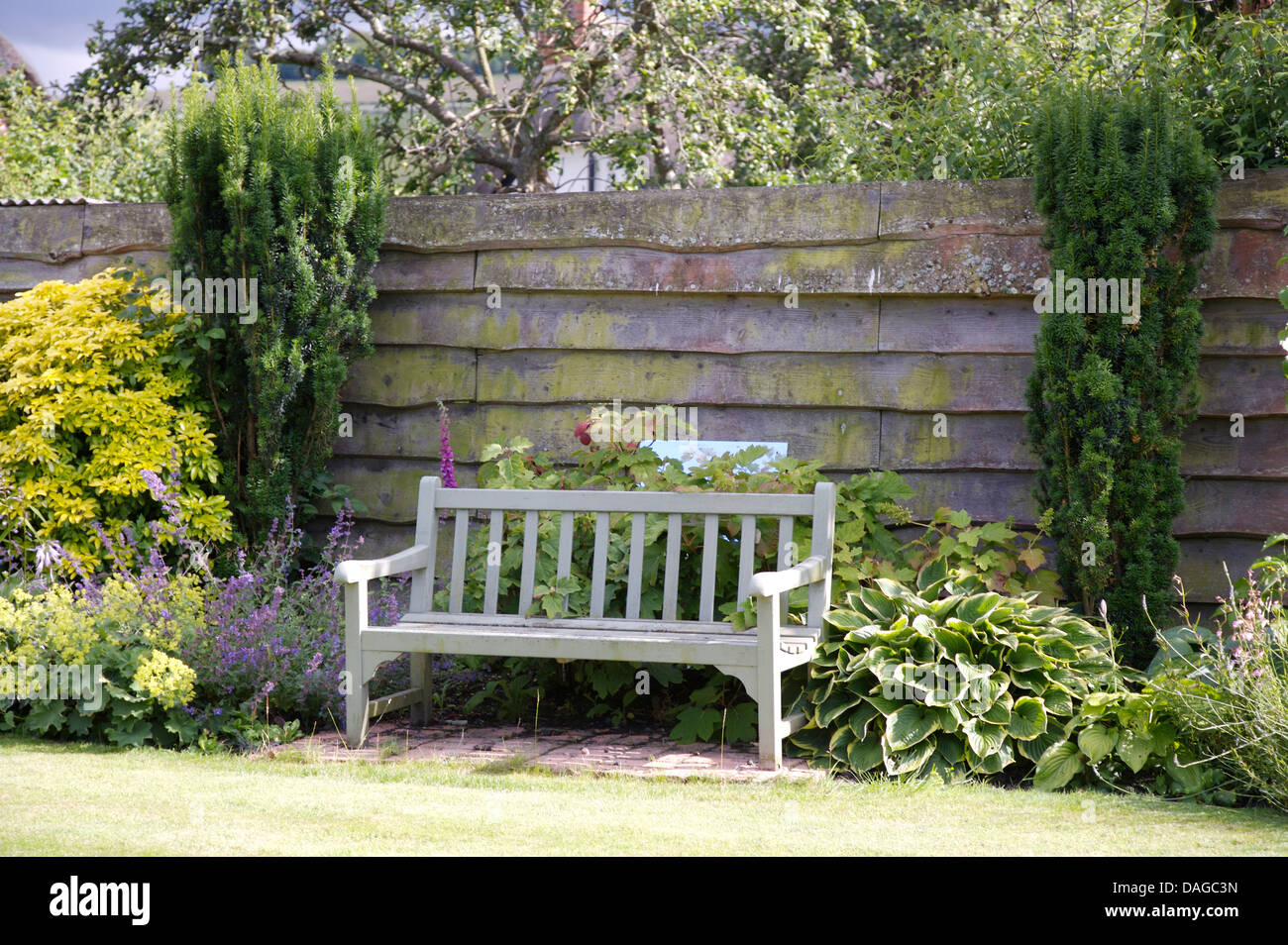 Hosta e nepeta a bordo su entrambi i lati della panca in legno sedile di fronte a chiudere imbarcati recinzione in legno in country garden Foto Stock