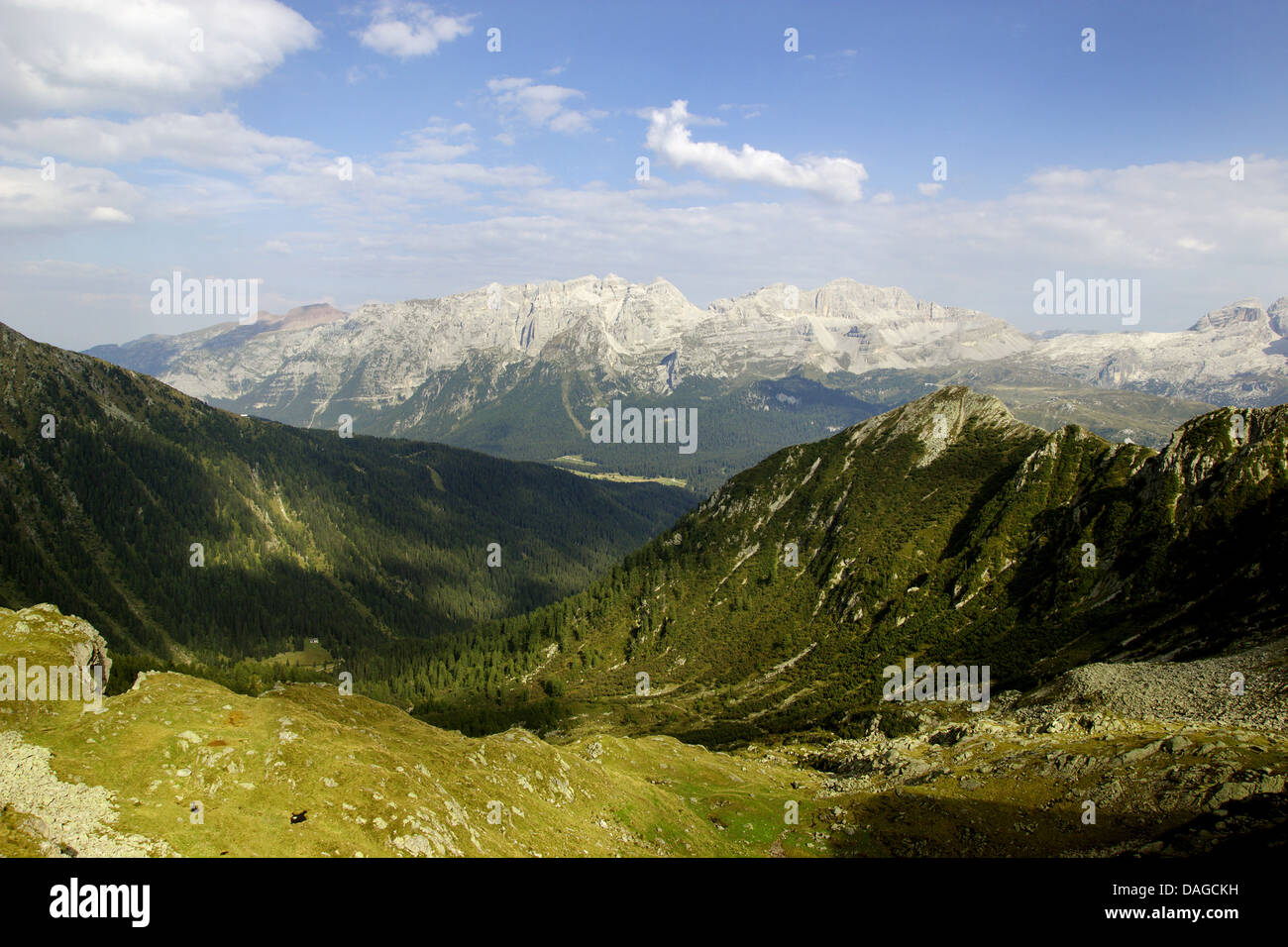 Pietra Grande, Brenta-zona, vista dal Lago Lambin, Italia Foto Stock