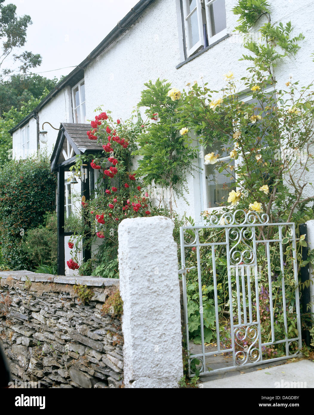 Muro di pietra e porta di metallo nella parte anteriore del cottage del paese con rose intorno alla porta e finestra Foto Stock