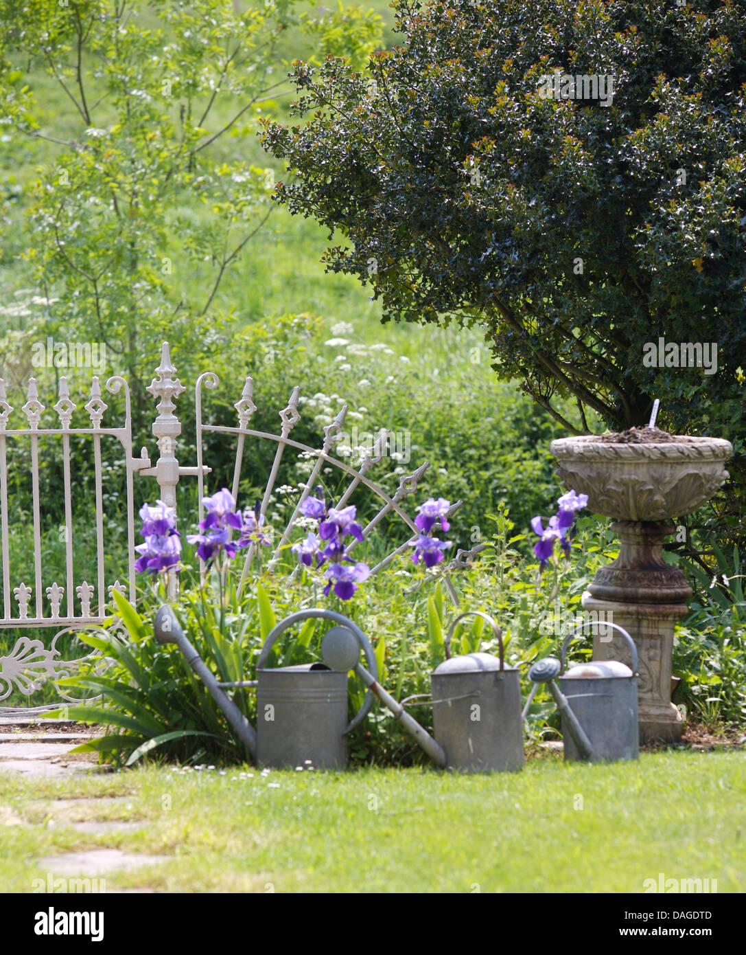 Iridi blu e tre vecchi zinco galvanizzato innaffiatoi accanto a meridiana di pietra accanto alle ringhiere in ferro in paese giardino in estate Foto Stock