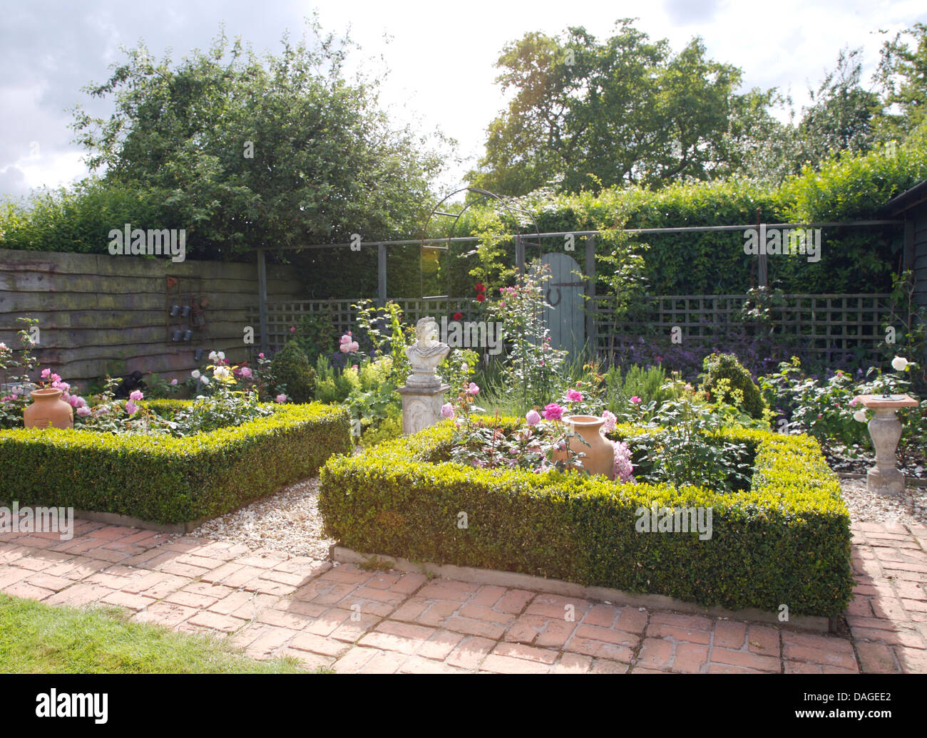 Le Rose in letti racchiuso da basse siepi di bosso nel paese formale giardino con percorsi di mattoni e alte hedge Foto Stock