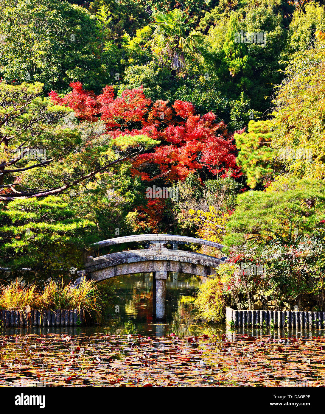 Ponte di serena e stagno di un giardino giapponese di Kyoto. Foto Stock