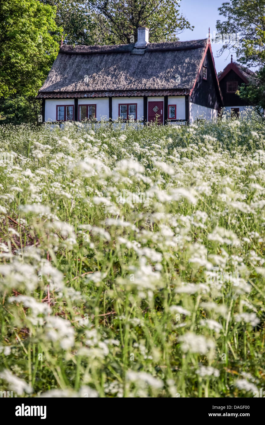 Idilliaco paese cottage con molla sul prato di Bornholm, Danimarca Foto Stock