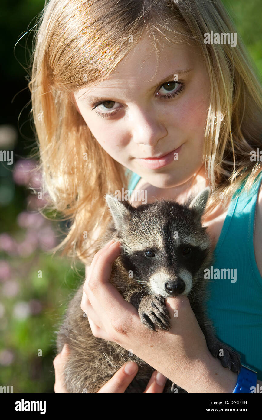 Procione comune (Procione lotor), handraised raccoon aspirare al dito di una ragazza adolescente, Germania Foto Stock