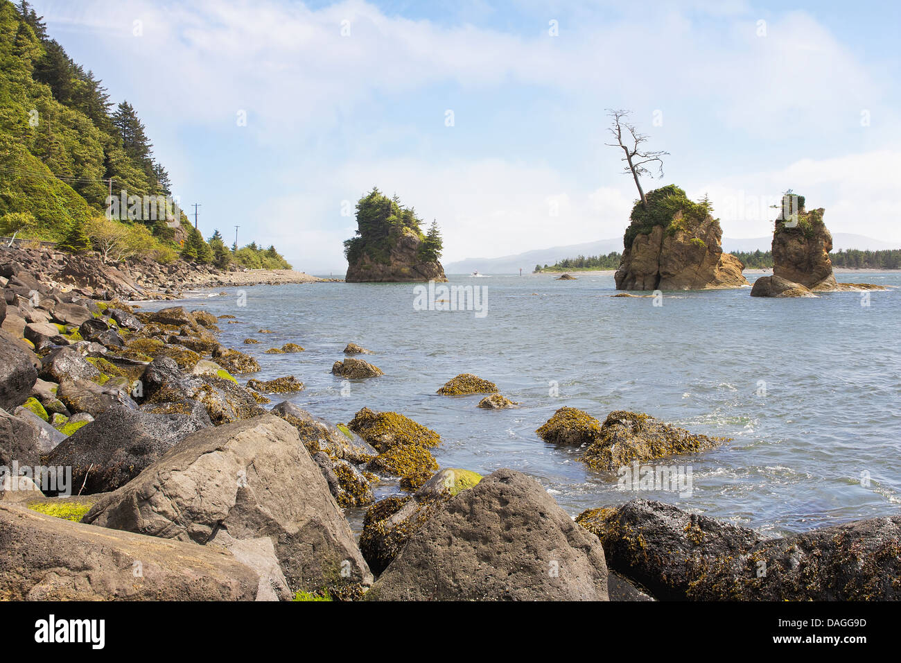 Maiale e seminare ingresso in spiaggia Garibaldi Tillamook Bay Oregon Foto Stock
