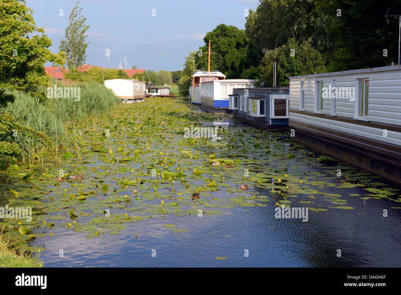 Case galleggianti sul Chichester canal vicino alla serratura del mare a Marina di Chichester, West Sussex, Regno Unito Foto Stock