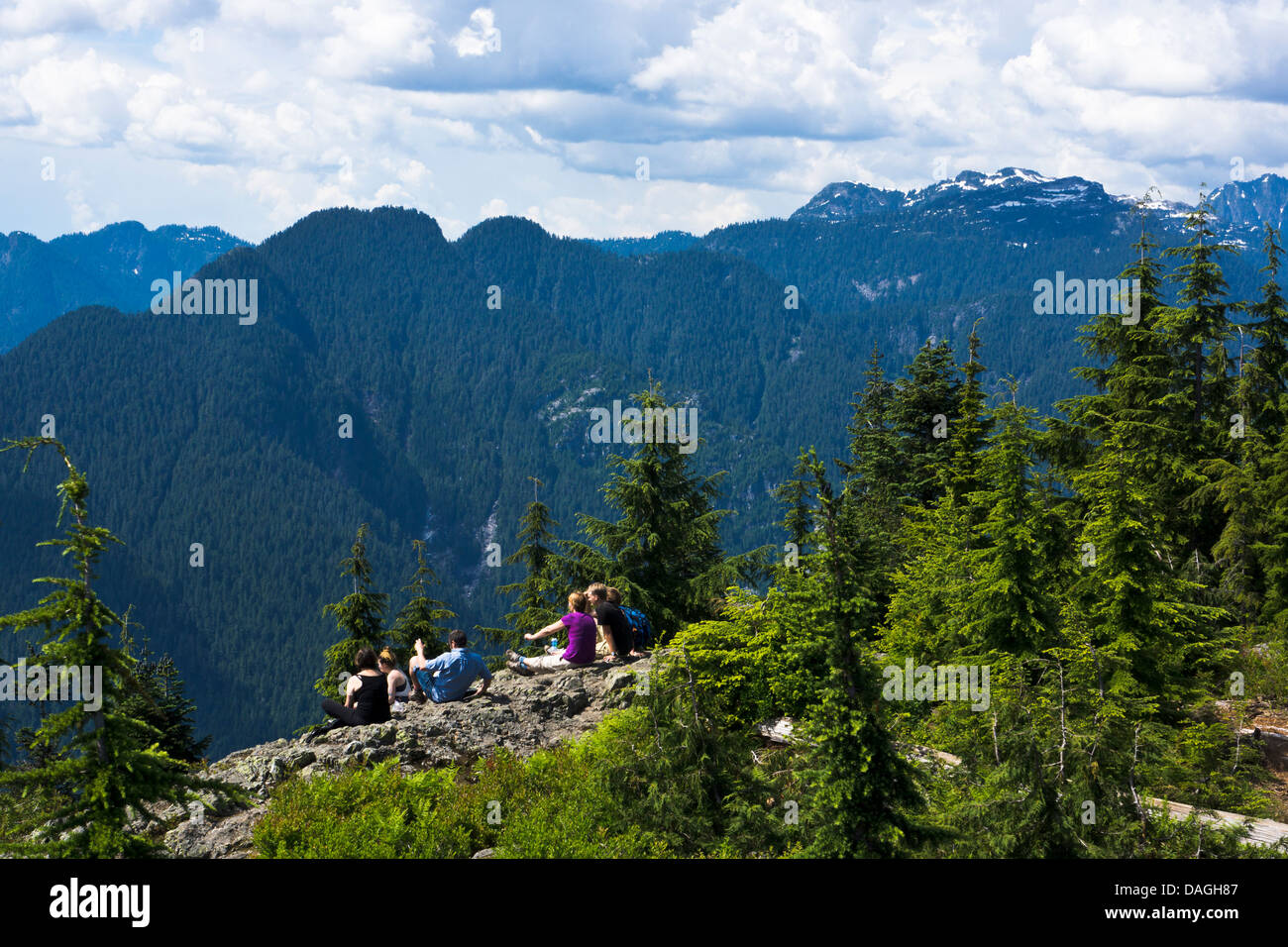 Cane di montagna, Mount Seymour Provincial Park, North Vancouver, British Columbia, Canada Foto Stock