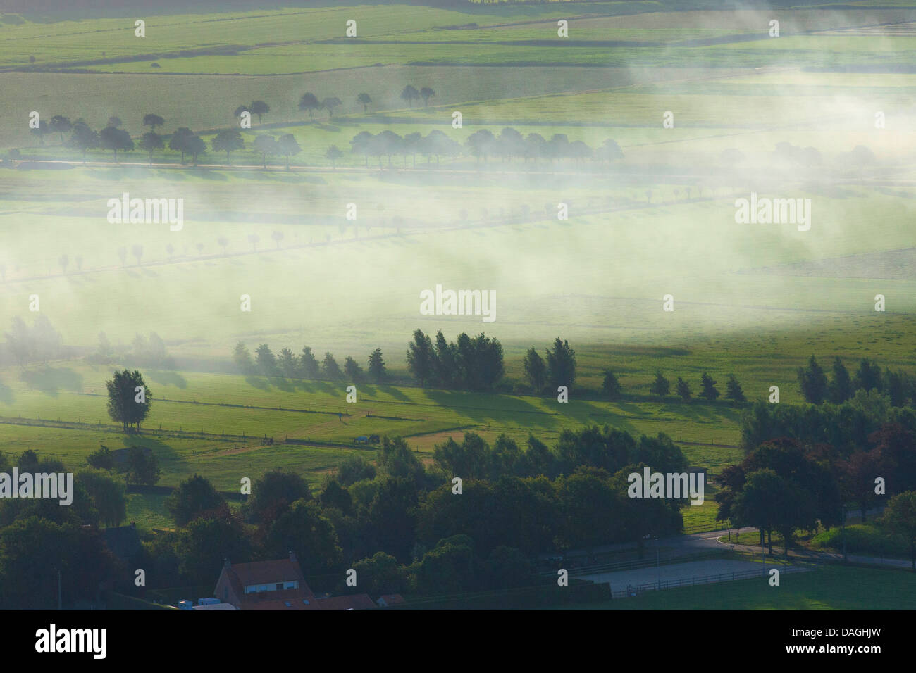 Vista aerea di zona agricola con i campi, praterie alberi dall'aria in primavera, Belgio, Kempen Foto Stock