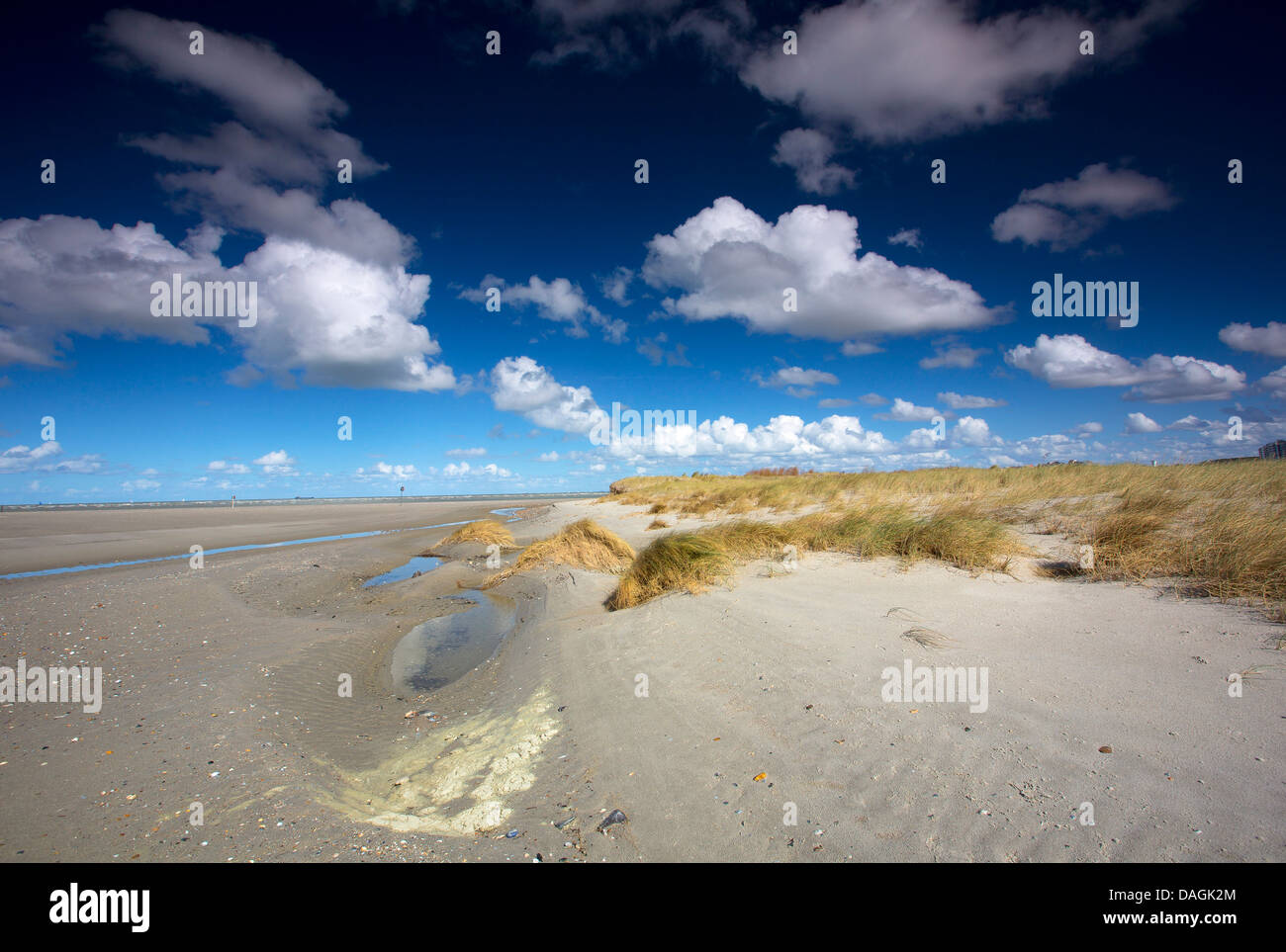 Paesaggio di dune della costa del Mare del Nord, Belgio, Fiandre, Baai van Heist Foto Stock