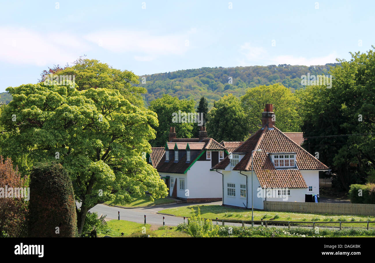 Vista panoramica delle case verdi nella verde campagna, Inghilterra. Foto Stock
