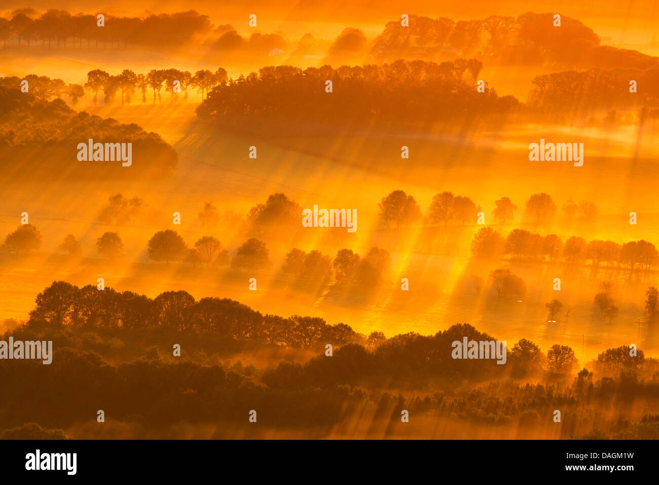 Brugs Ommeland all'alba nella nebbia, Belgio Foto Stock