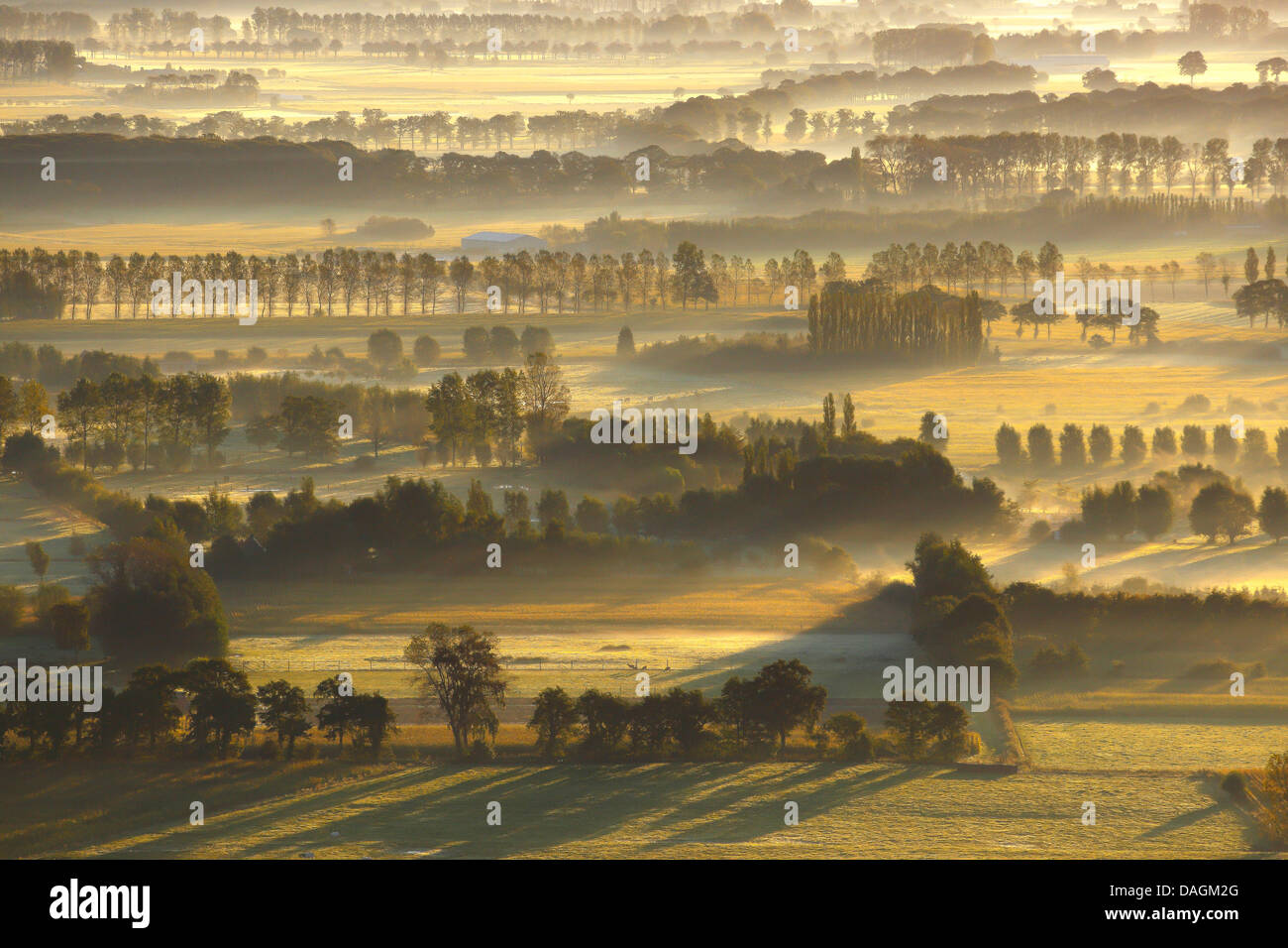 Vista aerea di paesaggio di campo Brugs Ommeland nella nebbia mattutina, Belgio Foto Stock
