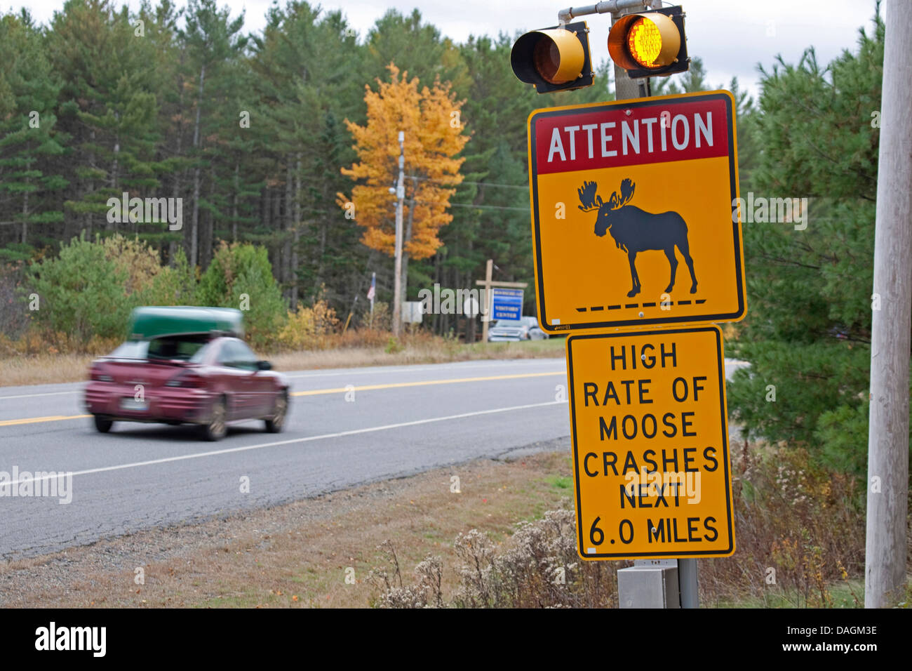Alci, elk (Alces alces), segno di avvertimento a causa dell'attraversamento alci a ME-15 , Greenville, USA, Maine, Moosehead lago, Greenville Foto Stock