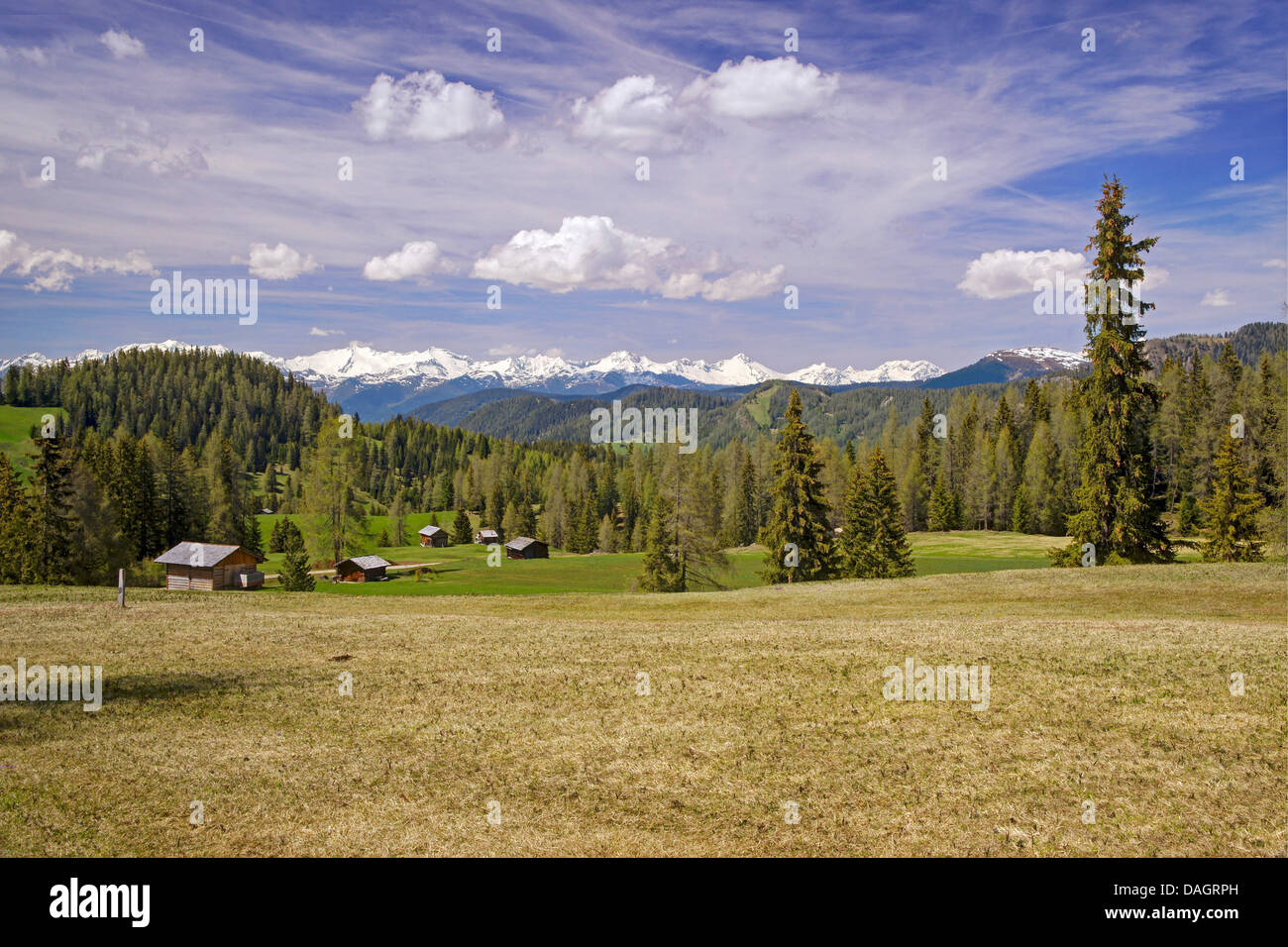Vista da dell'Armentara Alp alla catena principale delle Alpi, Italia, Alto Adige, Dolomiti Foto Stock