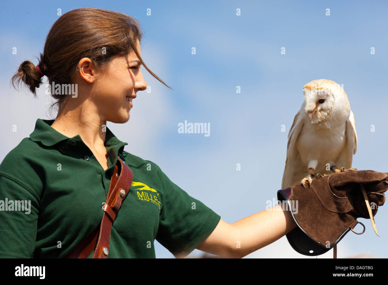 Il gestore e il barbagianni (Tyto alba) a Millets Farm, Oxfordshire Foto Stock