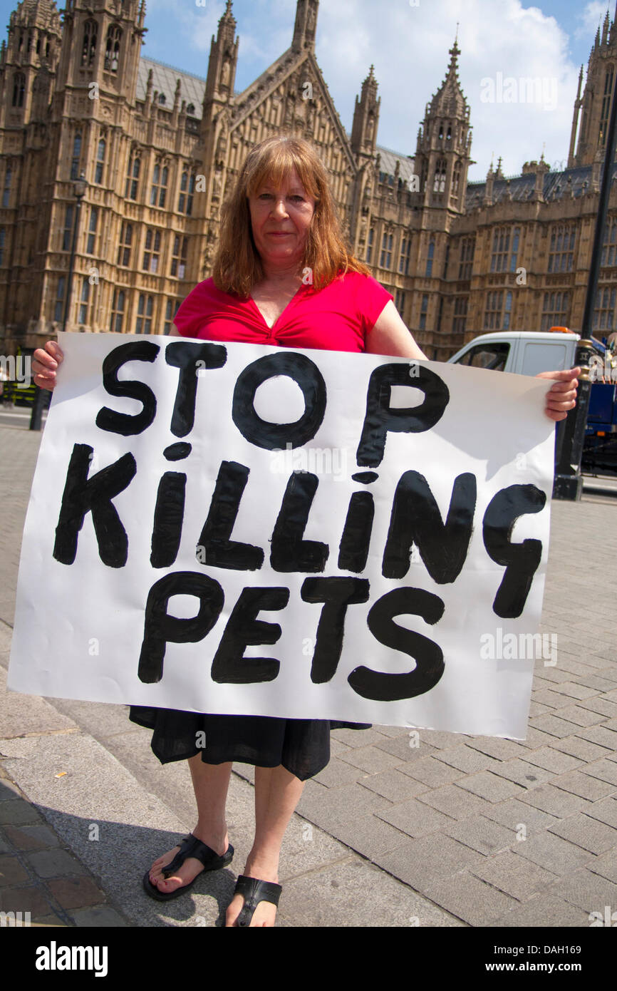 Londra, Regno Unito. 13 luglio 2013. Un anti-attivista BSL con il suo messaggio diretto durante la protesta a Londra contro la razza una legislazione specifica per i cosiddetti cani pericolosi. Credito: Paolo Davey/Alamy Live News Foto Stock