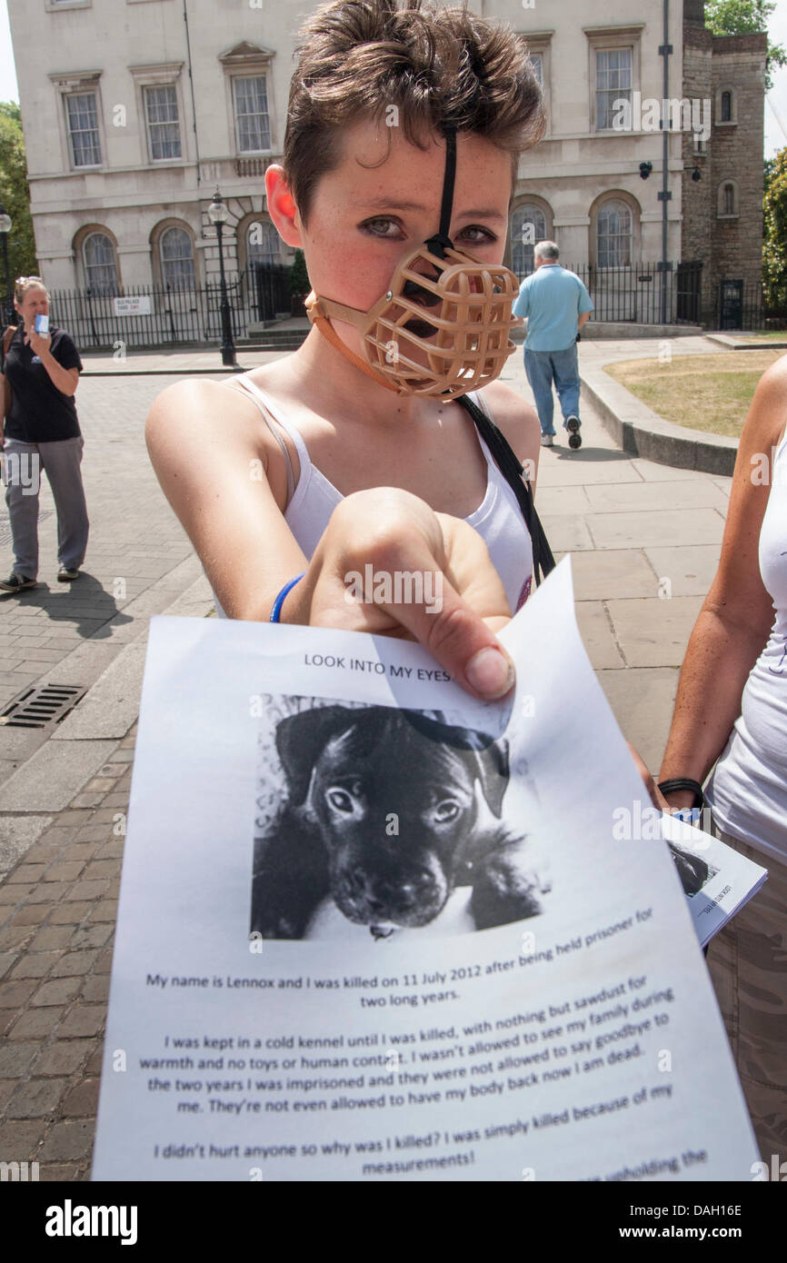 Londra, Regno Unito. 13 luglio 2013. Una ragazza imbavagliata mani volantini a una protesta contro la razza una legislazione specifica per i cosiddetti cani pericolosi. Credito: Paolo Davey/Alamy Live News Foto Stock