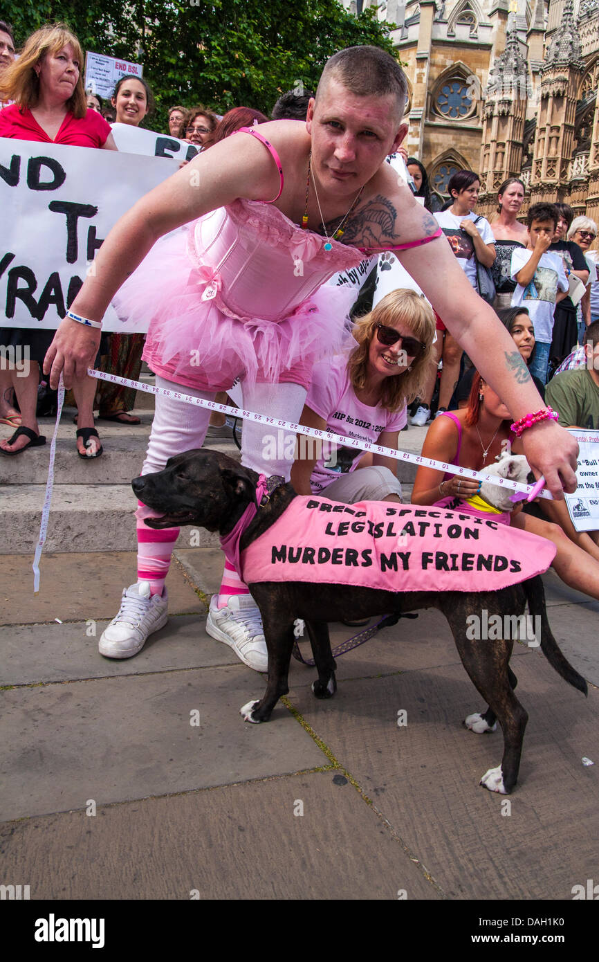 Londra, Regno Unito. 13 luglio 2013. La Fata cane madre measuresWillow, Staffordshire Bull Terrier durante una manifestazione di protesta contro la razza una legislazione specifica per i cosiddetti cani pericolosi. Credito: Paolo Davey/Alamy Live News Foto Stock