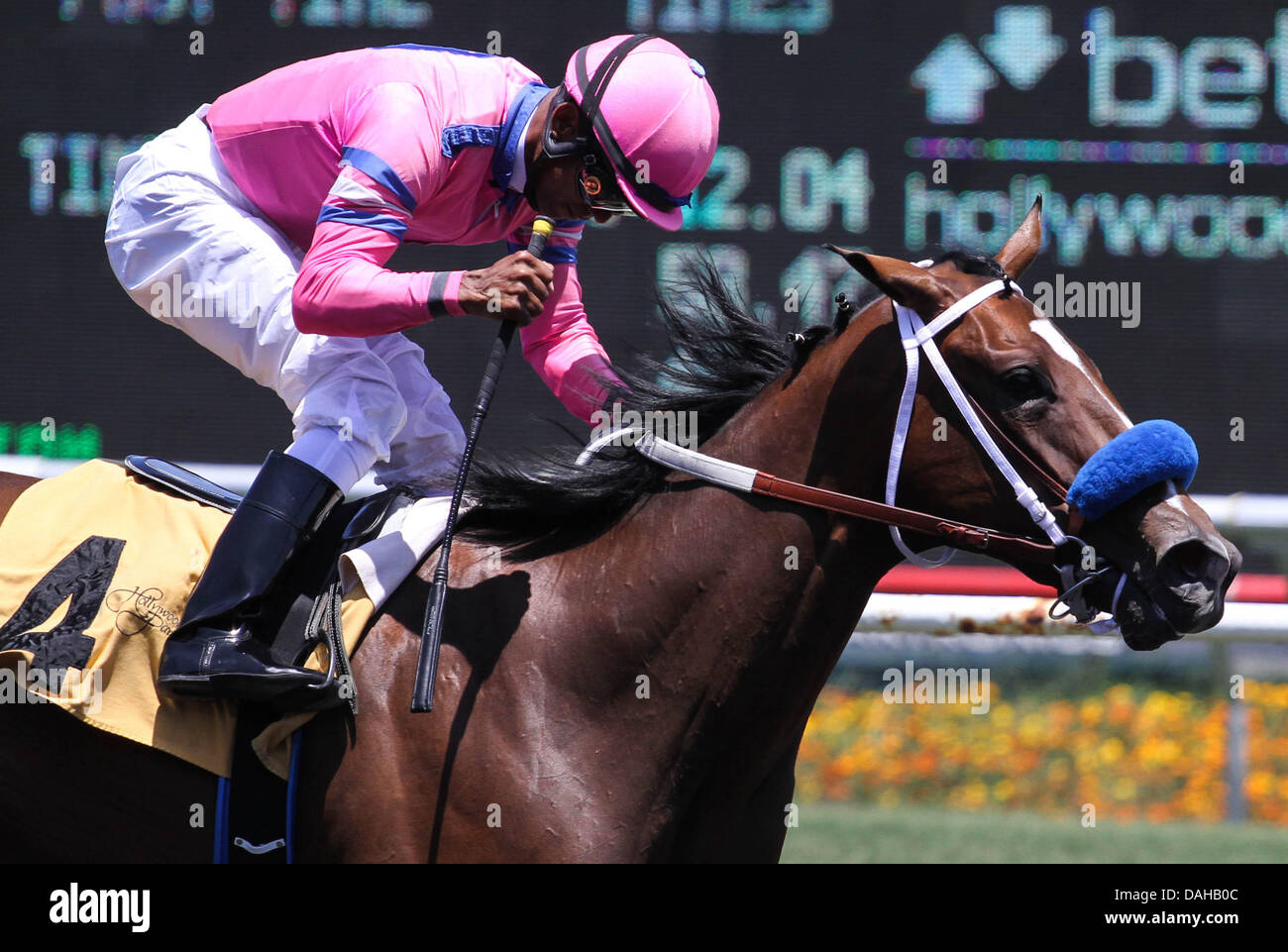 Inglewood, CA, Stati Uniti d'America. 13 Luglio, 2013. Lei è una tigre con Frank Alvarado a bordo vince la 69a marcia del Landaluce al Betfair Hollywood Park a Inglewood, California nel luglio 13,2013. Credito: Zoe Metz/Eclipse Sportswire/eclipse/ZUMAPRESS.com/Alamy Live News Foto Stock