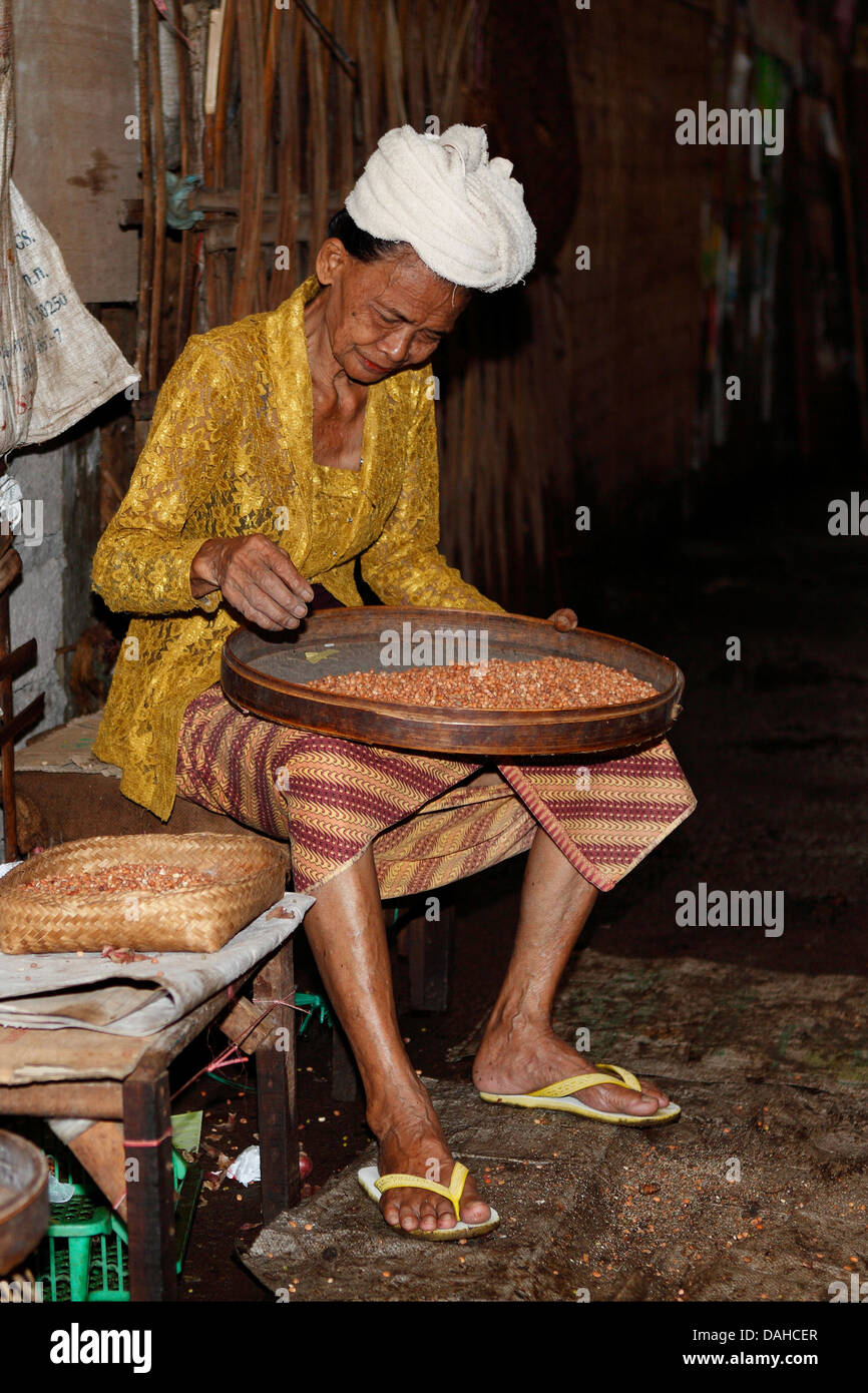 Anziana Signora Balinese in abito tradizionale, fagioli di smistamento al Singaraja mercato mattutino. Il Singaraja Bali, Indonesia Foto Stock