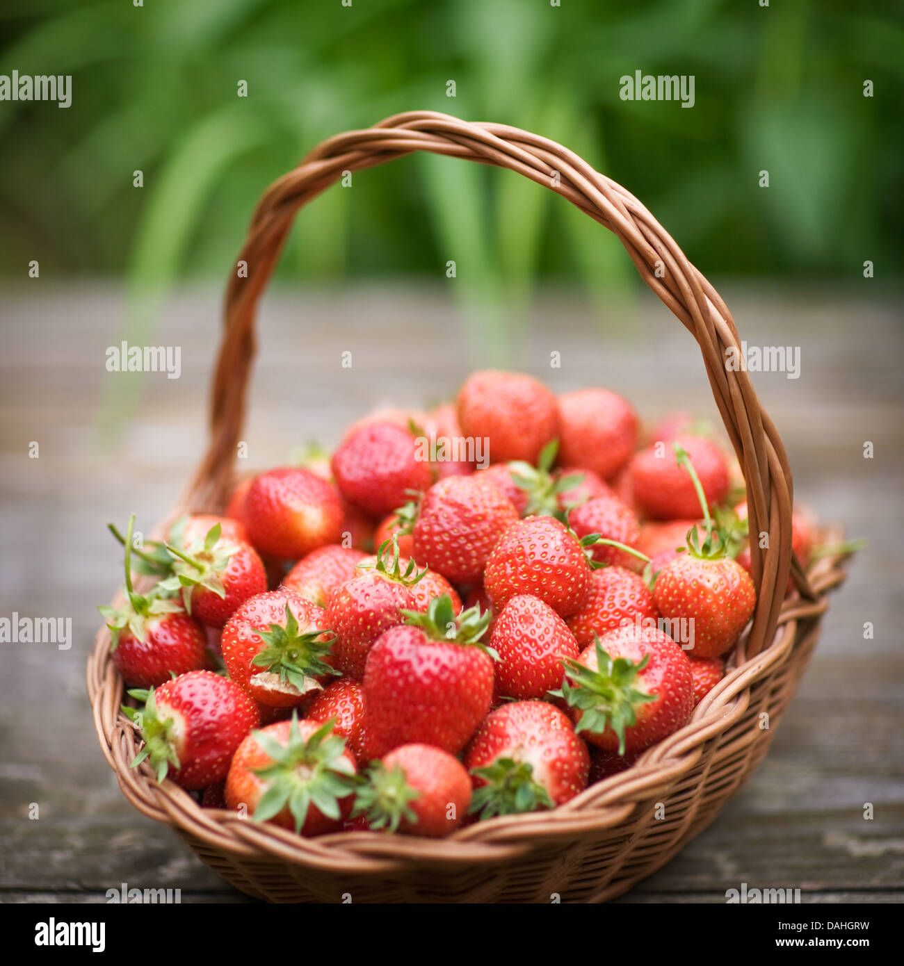 Fragole fresche in un cestello sul vecchio tavolo in legno, fuoco selettivo Foto Stock