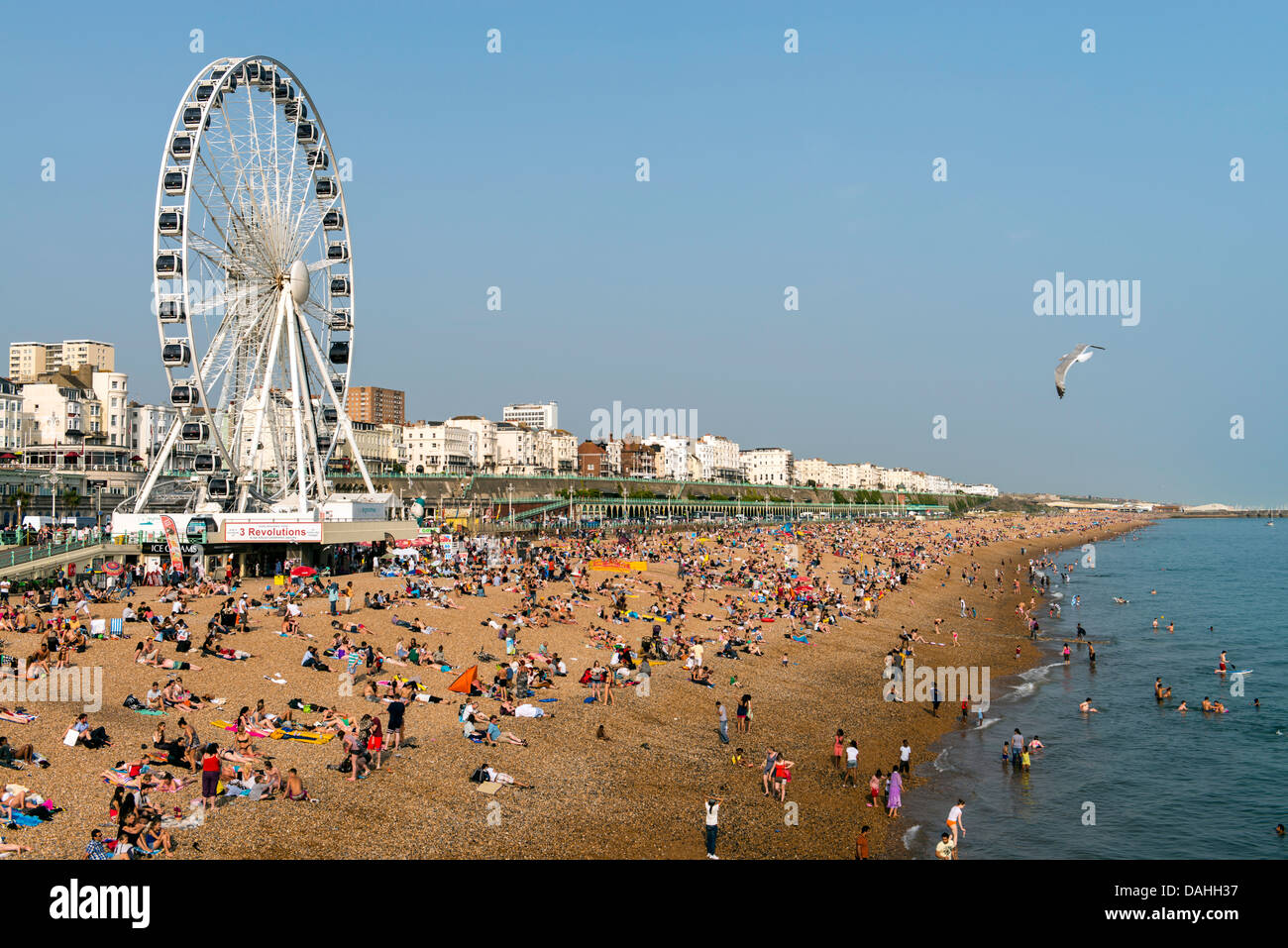 Ruota di Brighton e la fascia costiera la spiaggia di Brighton Inghilterra Gran Bretagna REGNO UNITO Foto Stock Ruota di Brighton e la fascia costiera la spiaggia di Brighton Inghilterra Gran Bretagna REGNO UNITO Foto Stock
