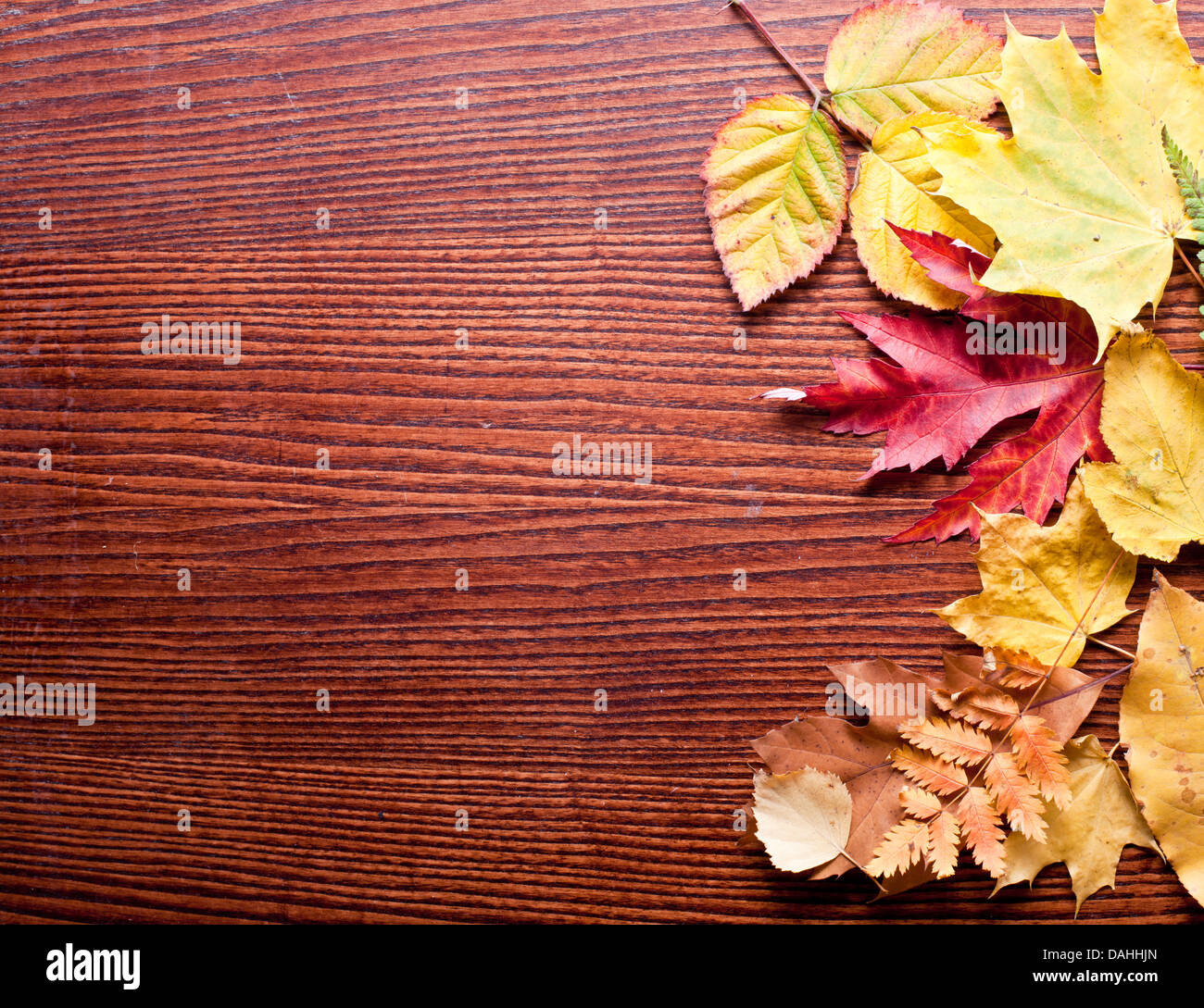 Foglie di autunno su un tavolo di legno. Foto Stock