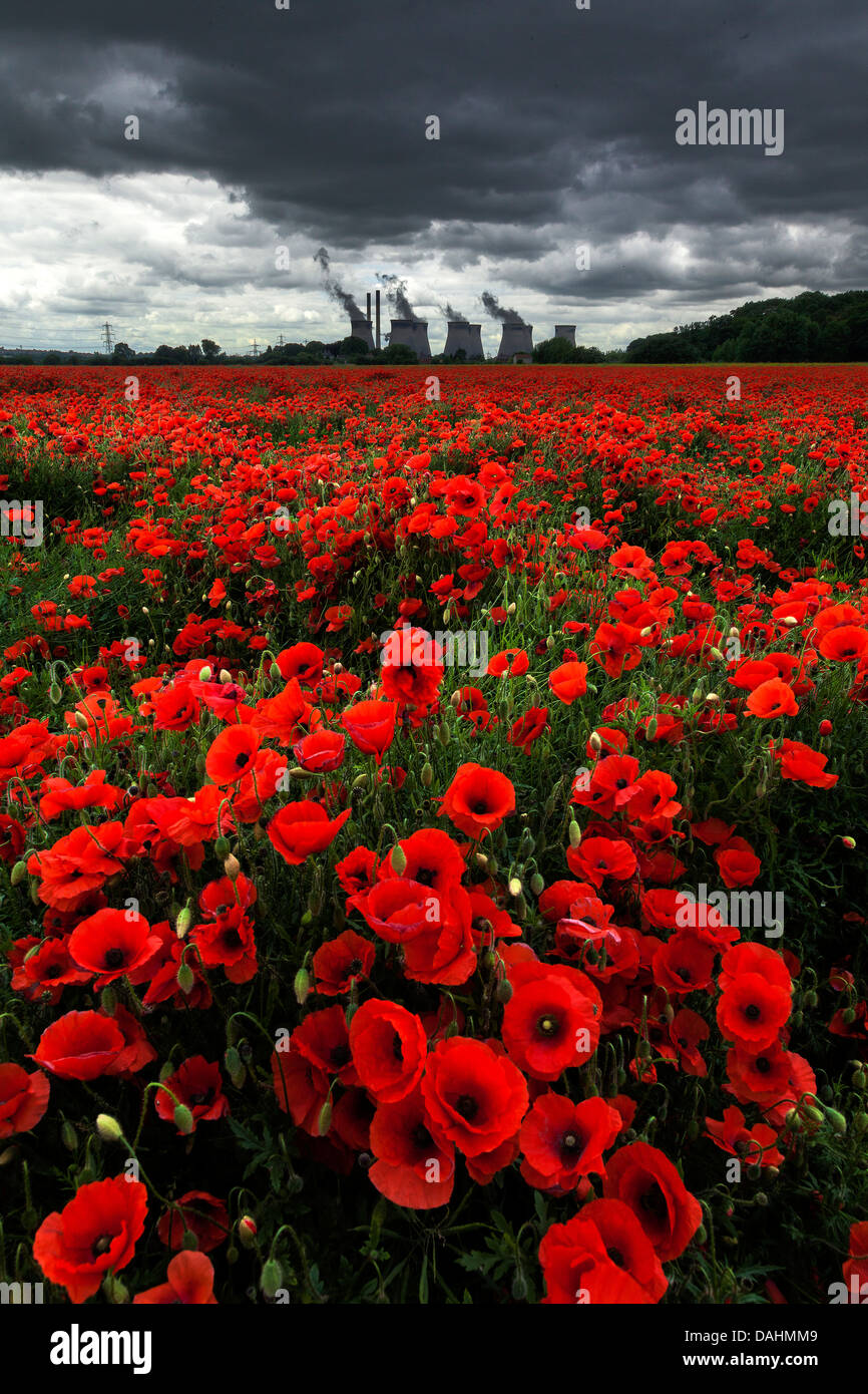Papaveri - Ferrybridge Power Station Foto Stock