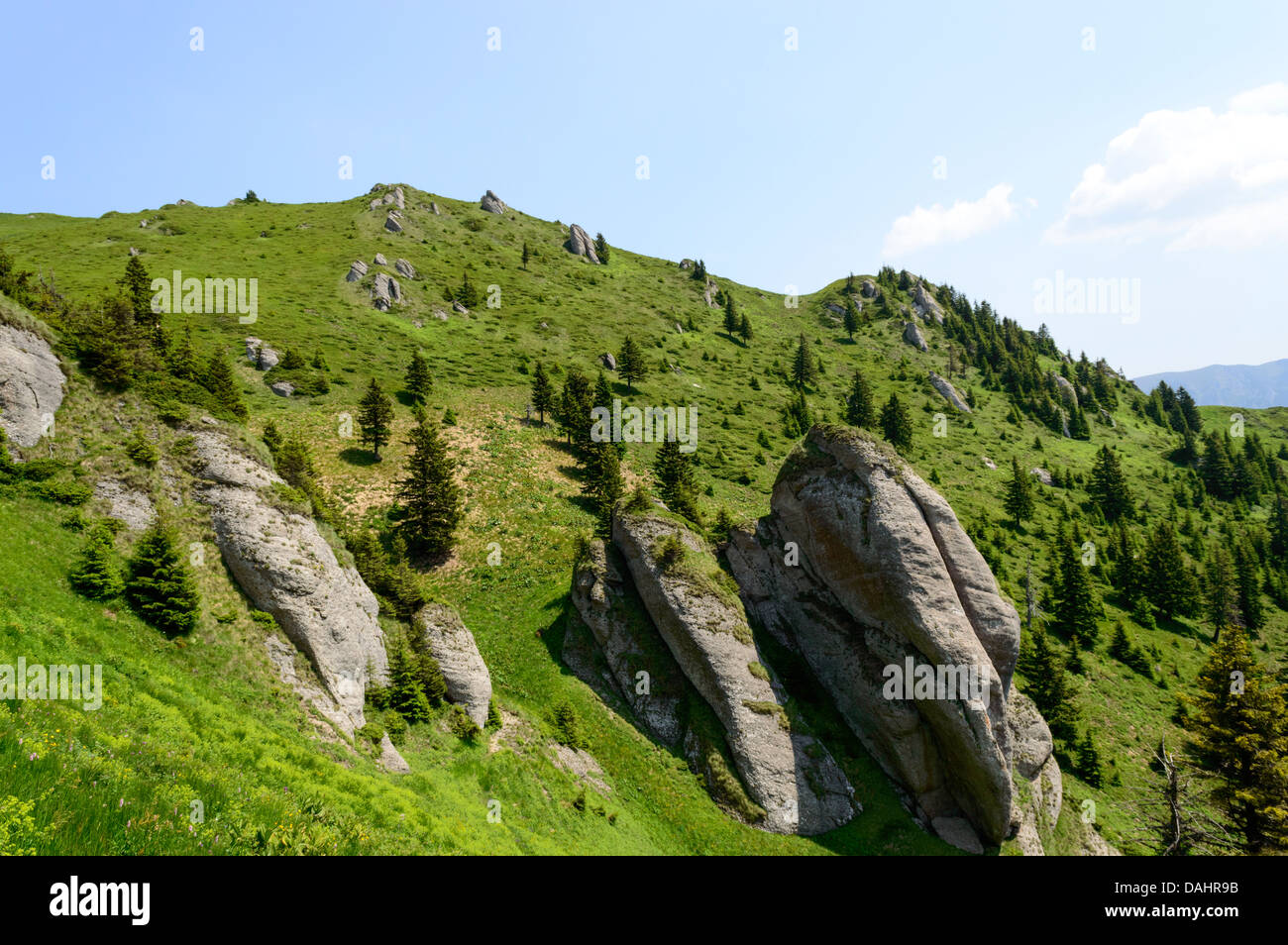 In estate il sentiero di montagna nelle montagne Ciucas Foto Stock