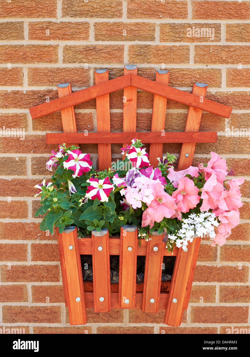 Pianta o cesto di fiori sulla parete esterna Foto Stock