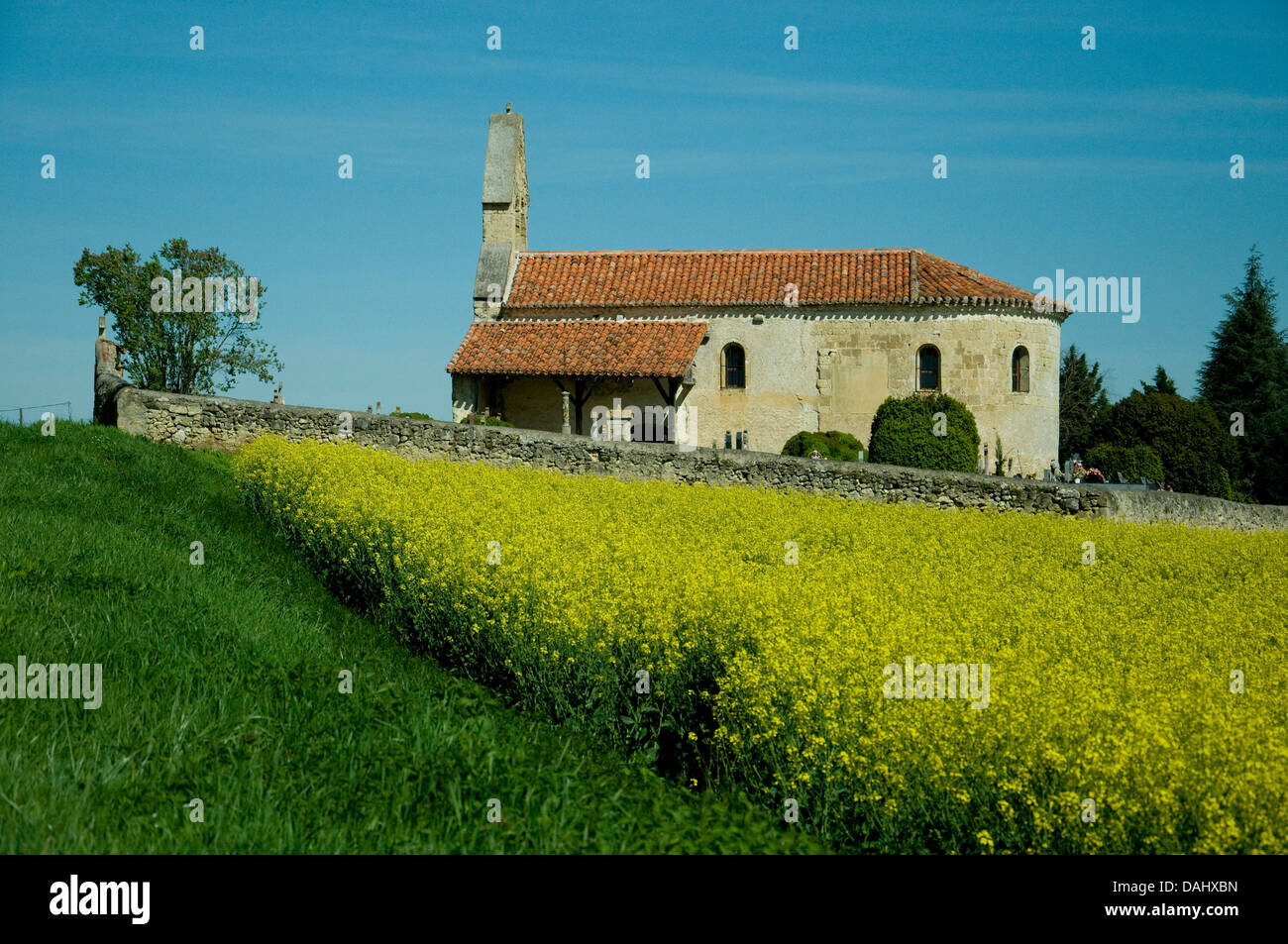 Una piccola chiesa di campagna nel sud-ovest della Francia è ornata in primavera da un campo di colore giallo brillante fiori di colza--olio di colza Foto Stock