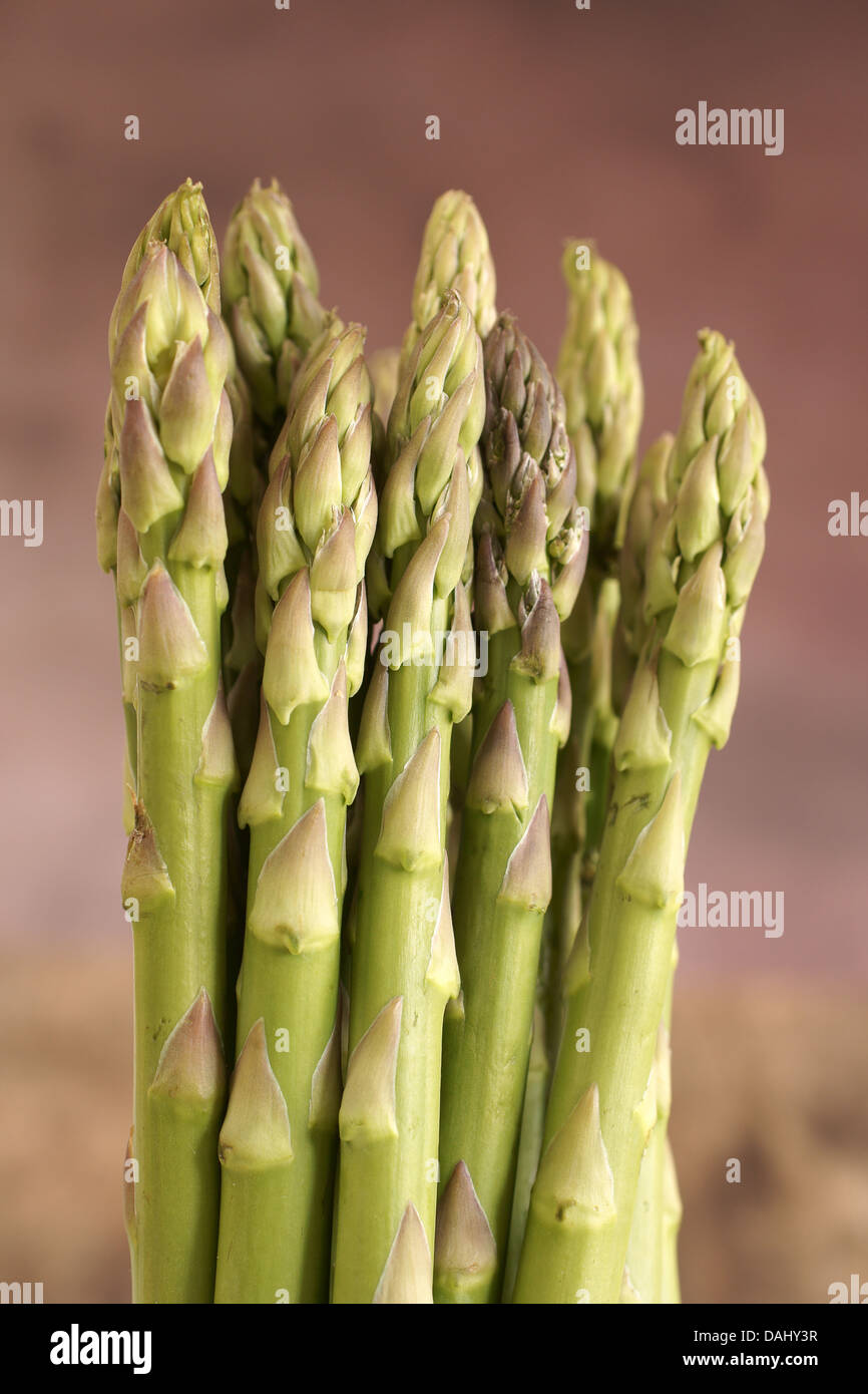 Gli asparagi spears fotografata con messa a fuoco poco profonda Foto Stock
