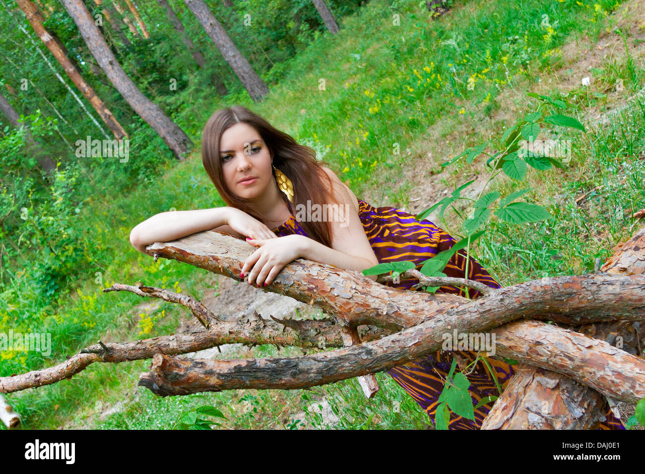 Triste giovane donna graziosa giacenti sui registri di pino della foresta Foto Stock